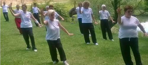 Taijiquan (Tai chi chuan)