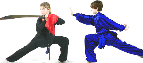 Wushu Taolu (Forme)