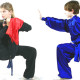 Wushu Taolu (Forme)