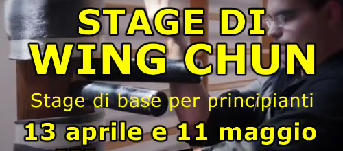 Stage di WING CHUN