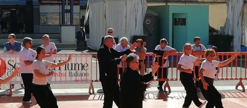 Taijiquan e Qigong alla Fiera di Scandicci 2019